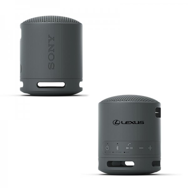 Sony XB100 Portable Wireless Speaker