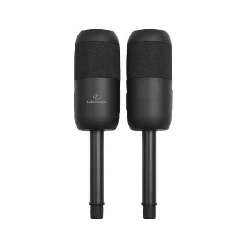 ILive Indoor And Outdoor Bluetooth Solar Speakers