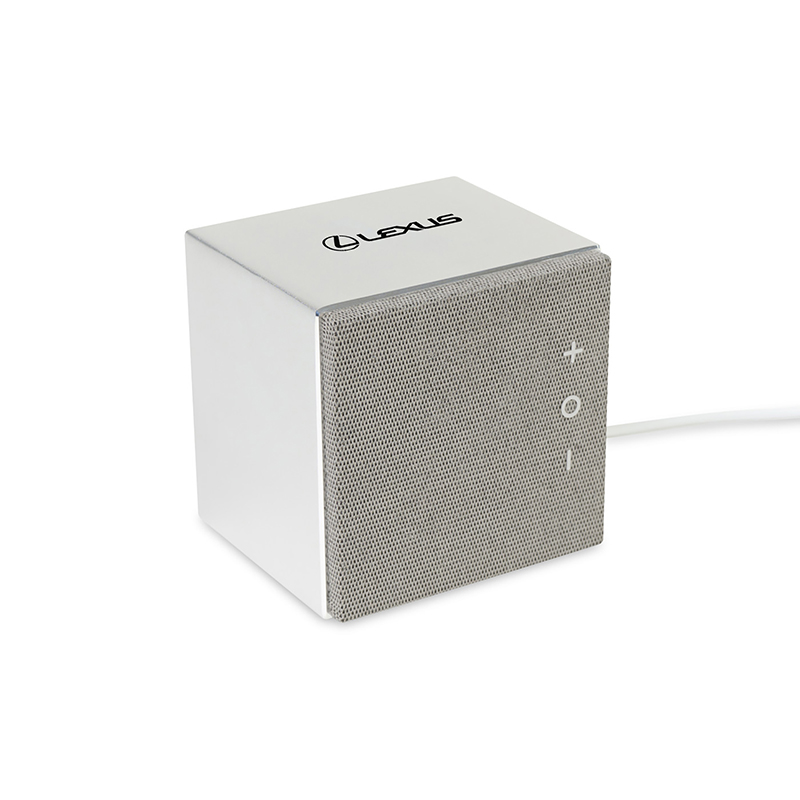 Auden Aluminum Wireless Speaker
